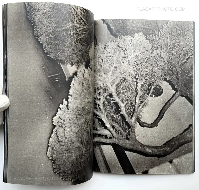 Daisuke Yokota – Untitled (Signed)