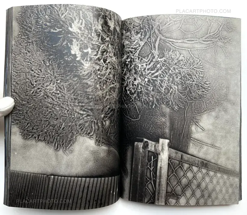 Daisuke Yokota – Untitled (Signed)