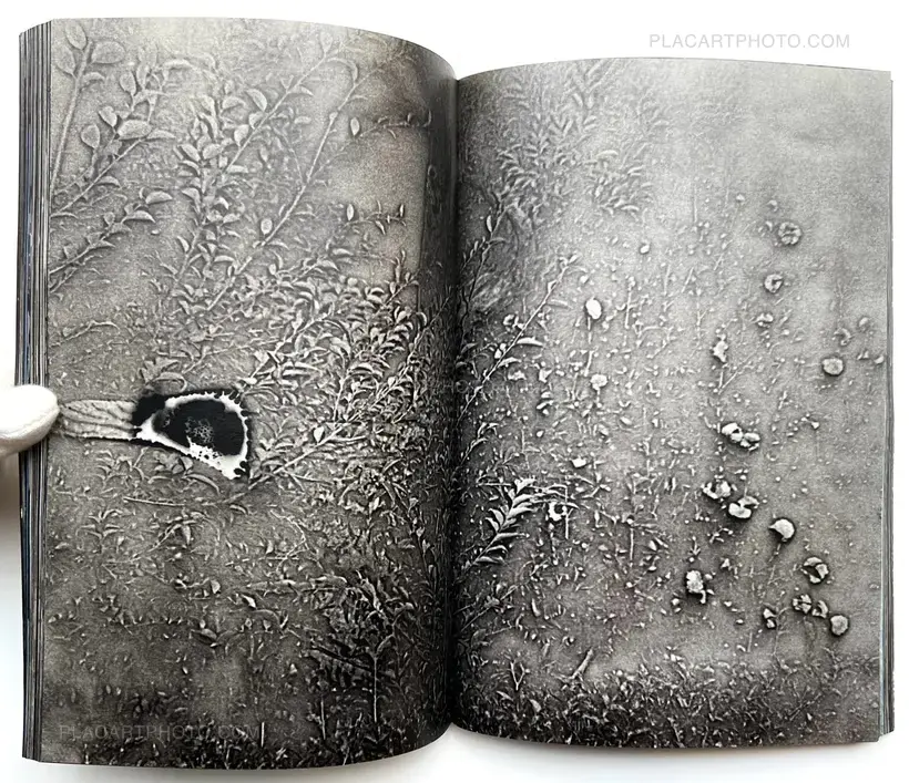 Daisuke Yokota – Untitled (Signed)