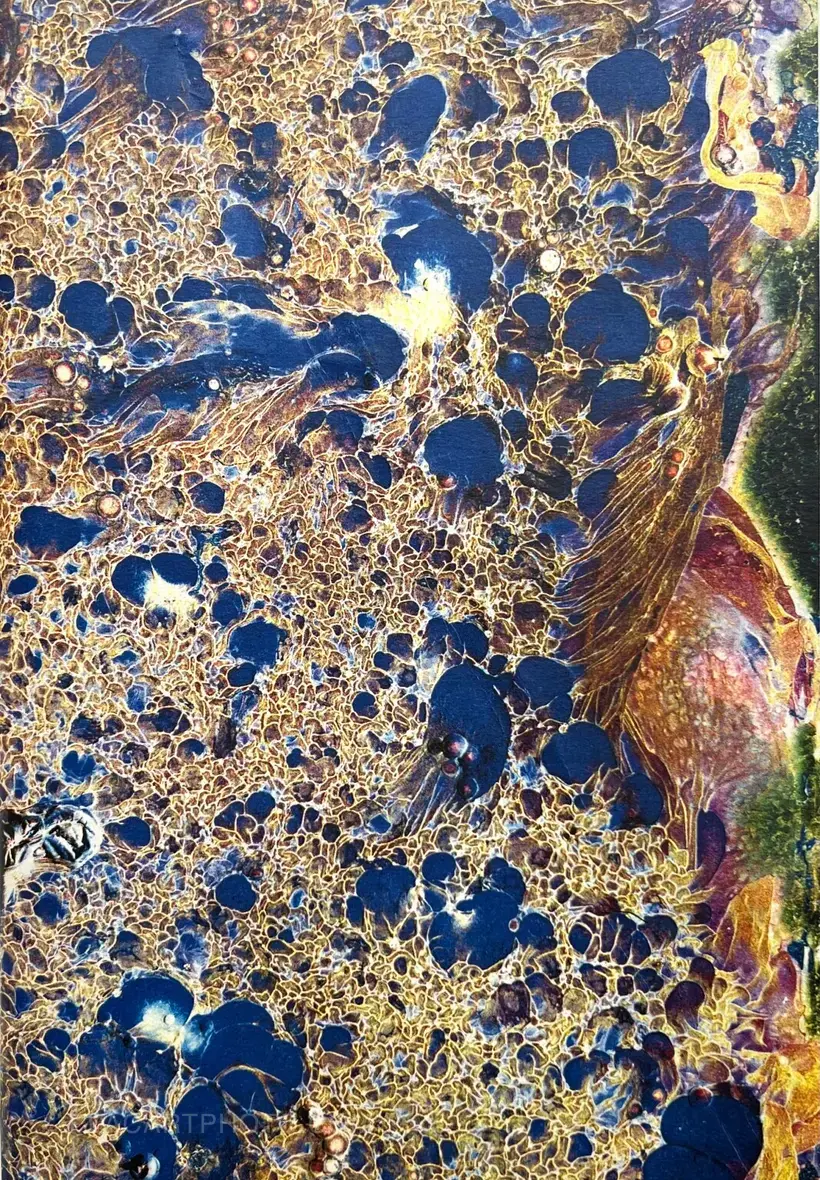 Daisuke Yokota – Matter (Cover A) (Signed, Unique edition)
