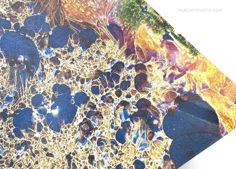 Daisuke Yokota – Matter (Cover A) (Signed, Unique edition)