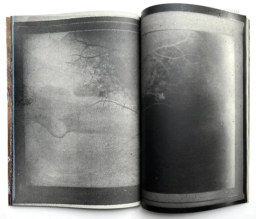 Daisuke Yokota – Matter (Cover B) (Signed, Unique edition)