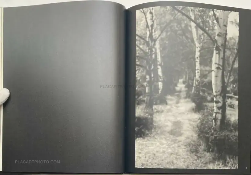David Armstrong – The Silver Cord