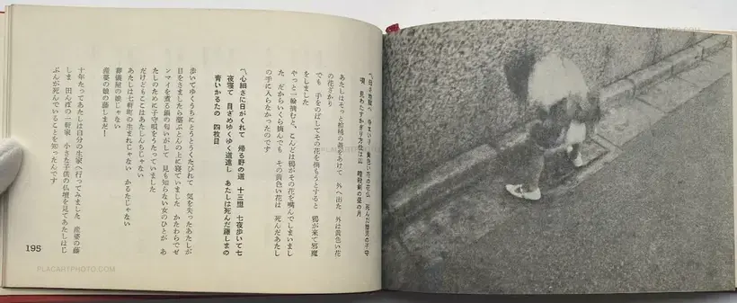 Collective – Now, Look at This! Stage Photographs of Tenjo Sajiki Theatrical Company / Saasaa otachiai: Tenjo sajiki shijo koen