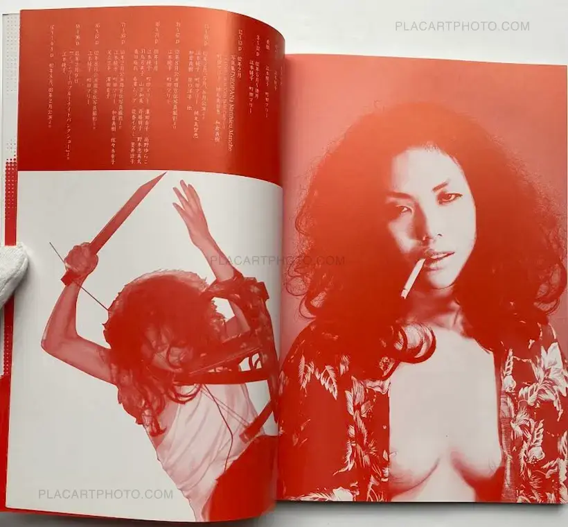 Seiko Sugimoto – Kegawazoku