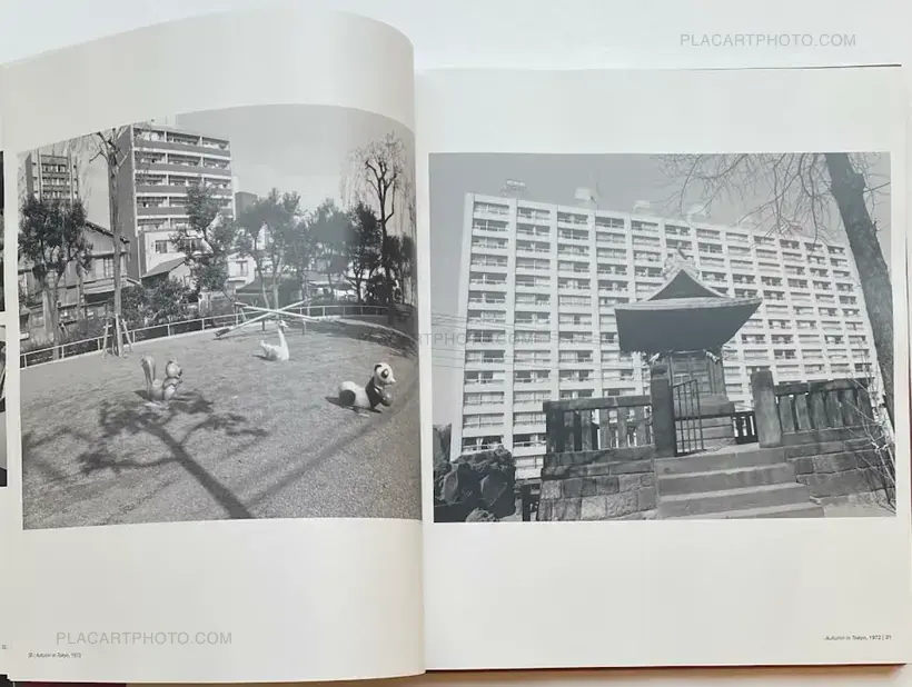 Nobuyoshi Araki – The Araki Effect