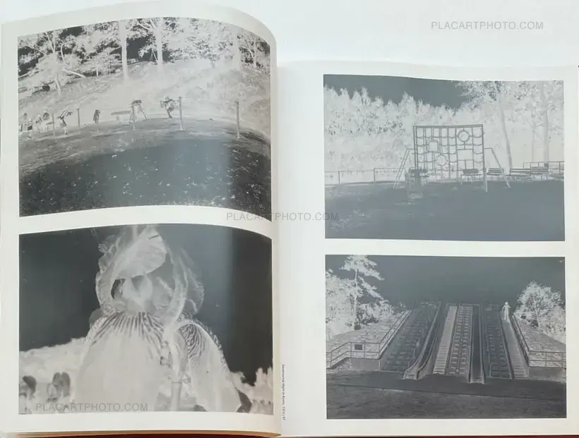 Nobuyoshi Araki – The Araki Effect