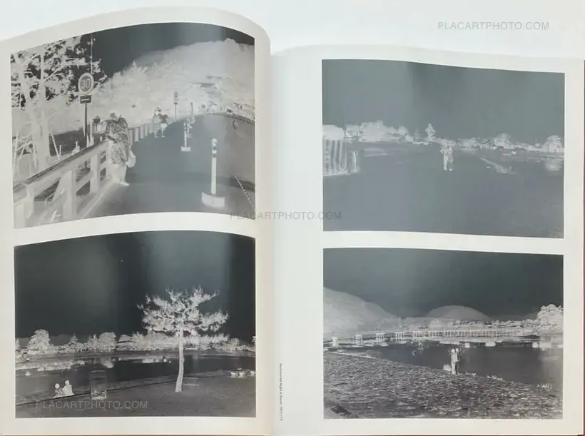 Nobuyoshi Araki – The Araki Effect