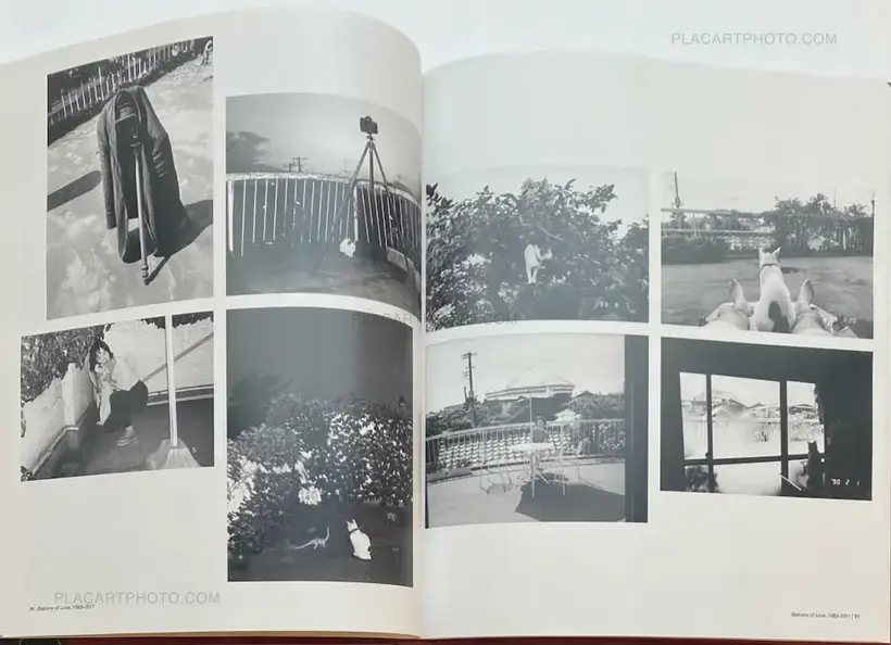 Nobuyoshi Araki – The Araki Effect