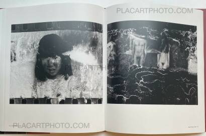 Nobuyoshi Araki,The Araki Effect Nobuyoshi Araki,The Araki Effect