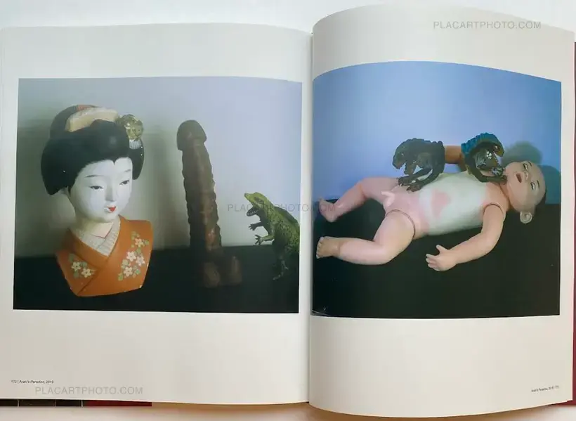 Nobuyoshi Araki – The Araki Effect
