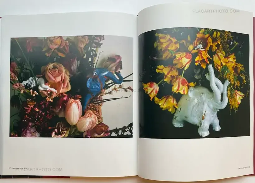 Nobuyoshi Araki – The Araki Effect