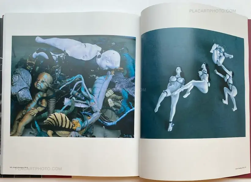 Nobuyoshi Araki – The Araki Effect