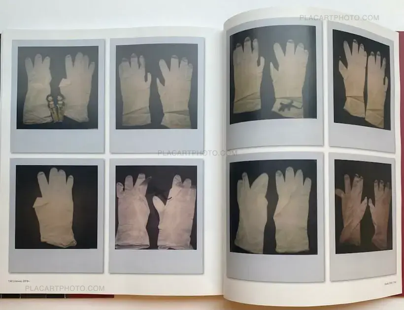 Nobuyoshi Araki – The Araki Effect