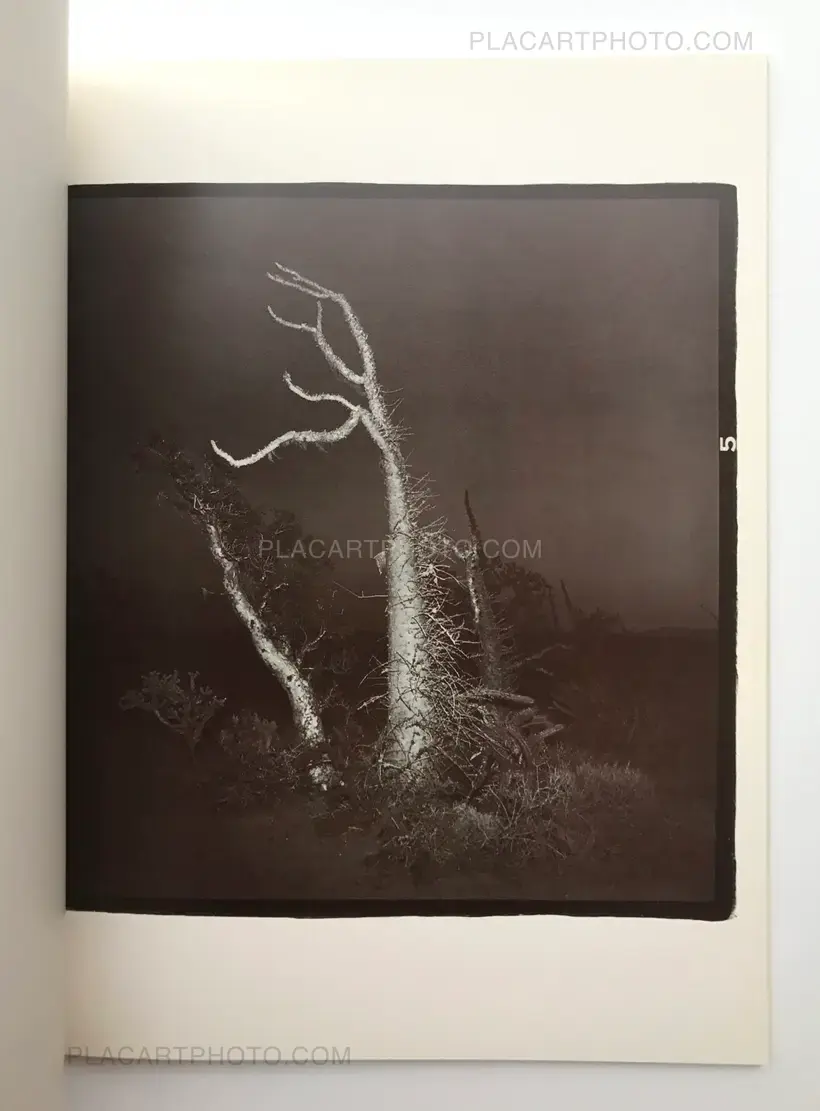 Richard Misrach – 1979