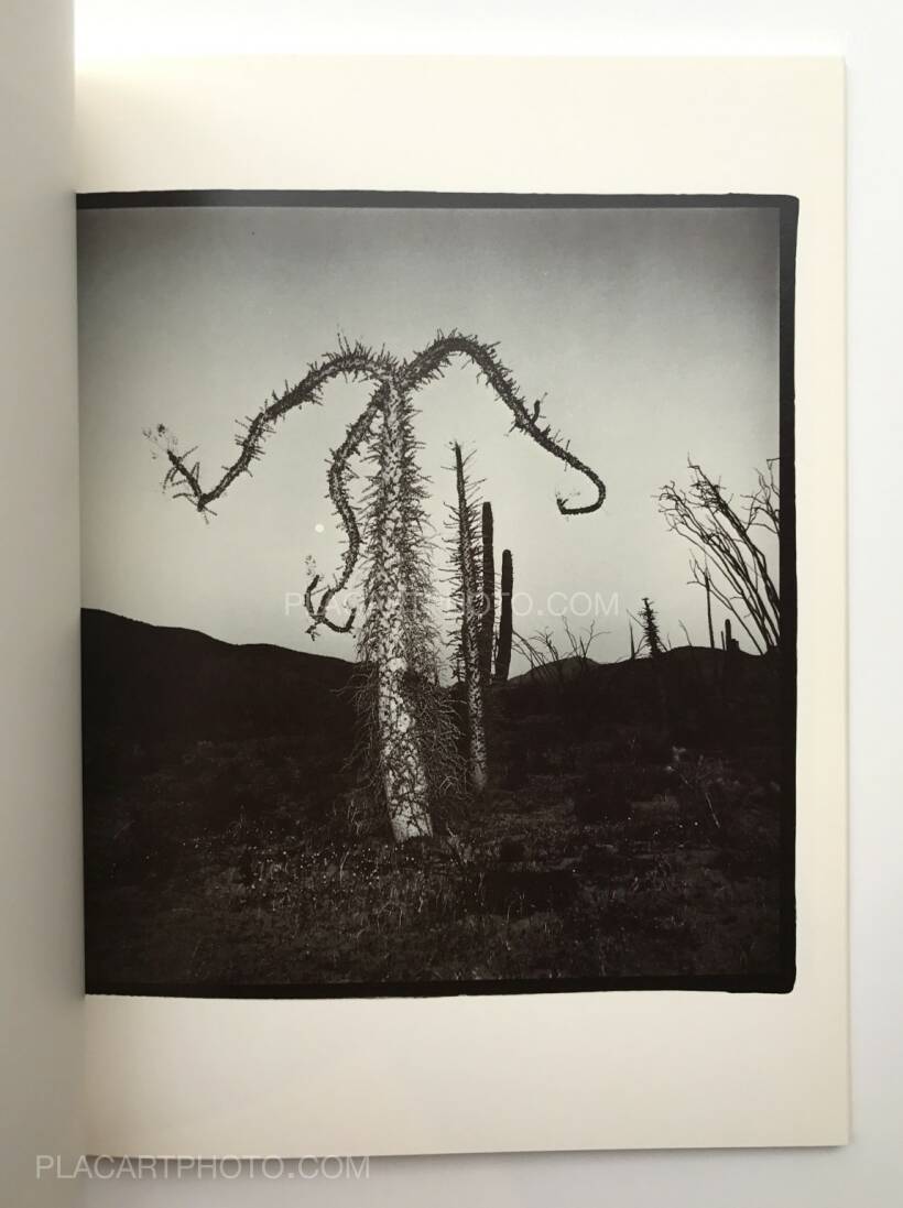 Richard Misrach – 1979