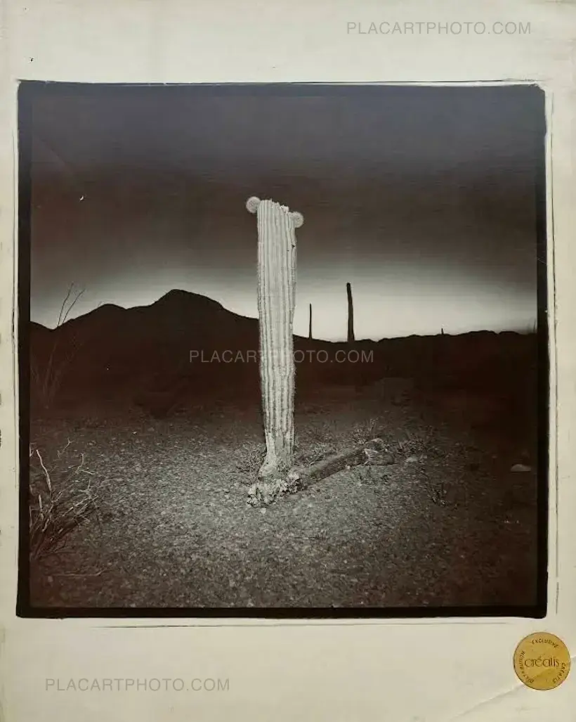 Richard Misrach – 1979