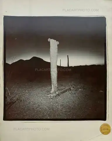 Richard Misrach – 1979