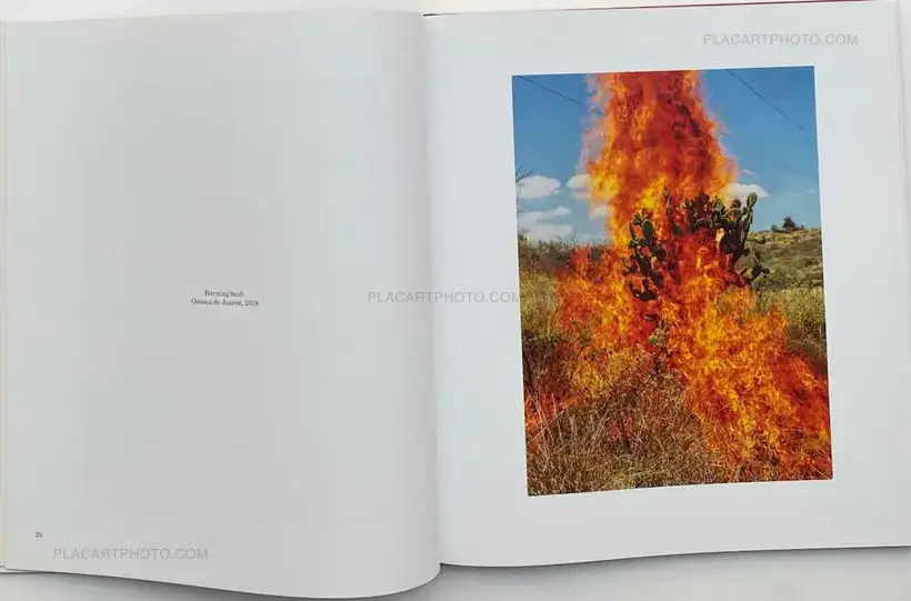 Pieter Hugo – La Cucaracha