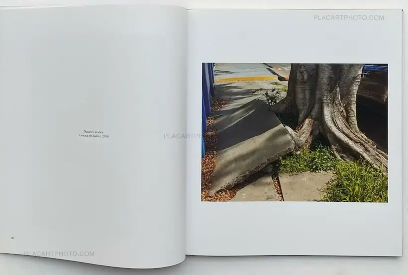Pieter Hugo – La Cucaracha