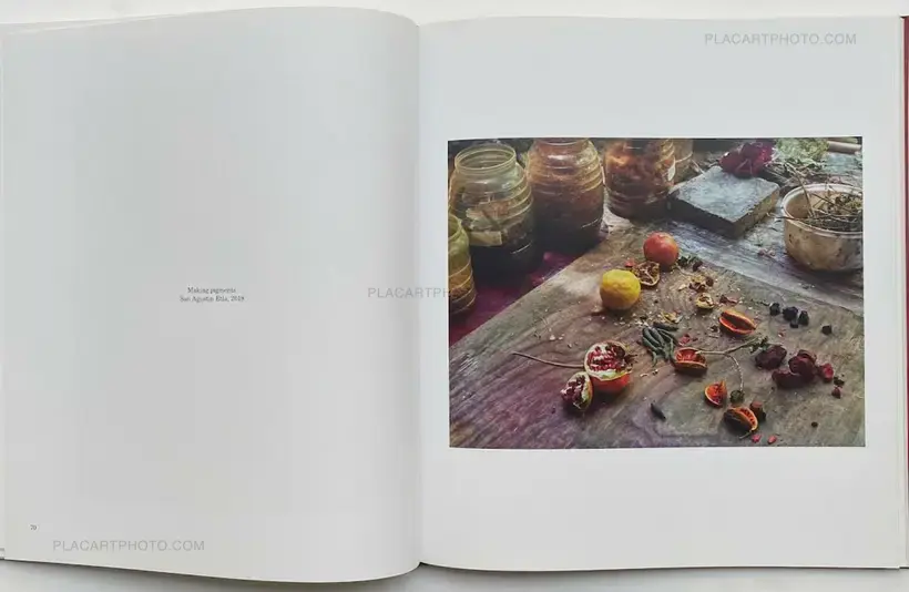 Pieter Hugo – La Cucaracha