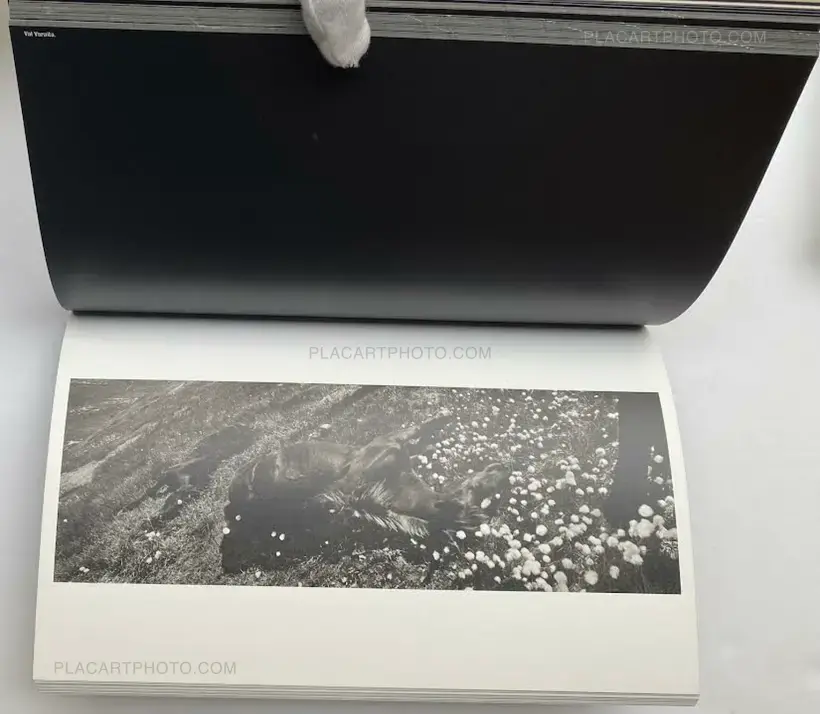 Josef Koudelka – Koudelka Piemonte