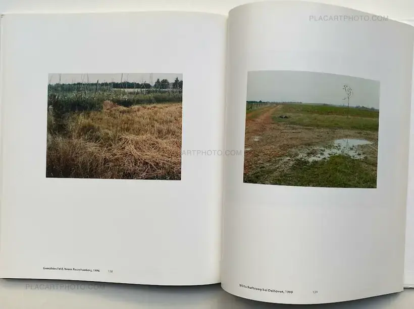 Collective – Landscape.