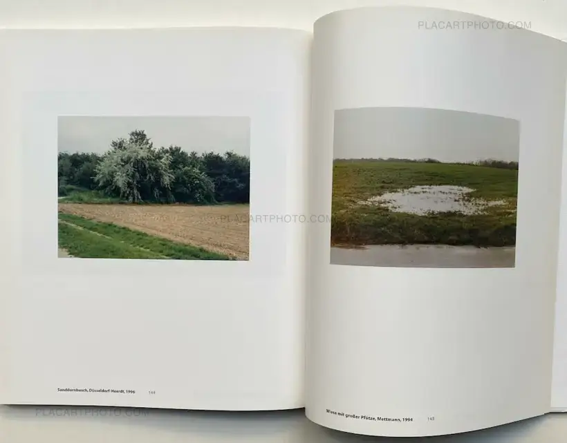 Collective – Landscape.