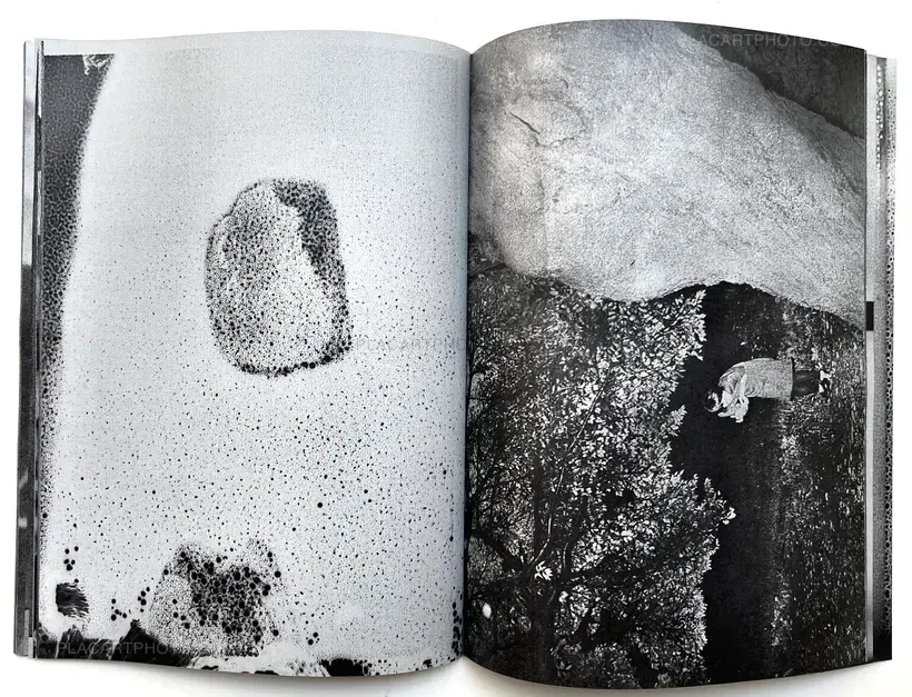 Daisuke Yokota – Untitled #3 SP Edition -Daisuke Yokota