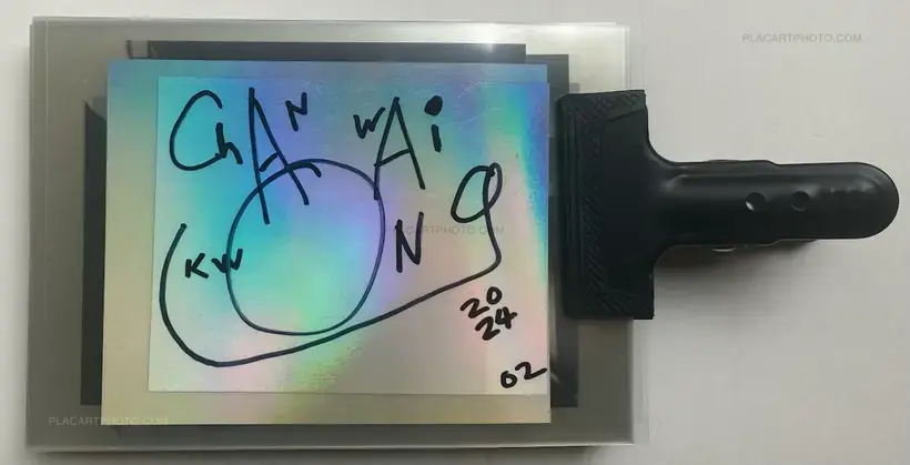 Chan Wai Kwong – Incubation (Signed)