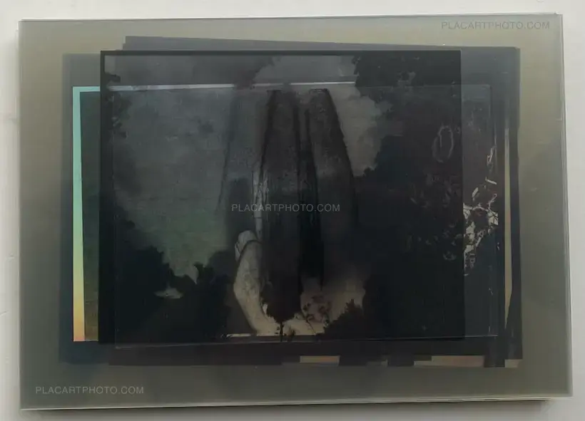 Chan Wai Kwong – Incubation (Signed)