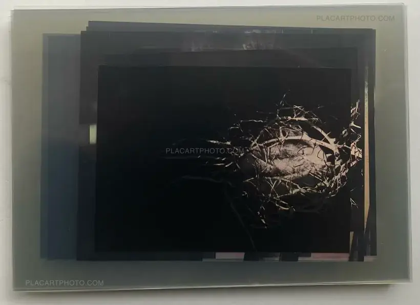Chan Wai Kwong – Incubation (Signed)