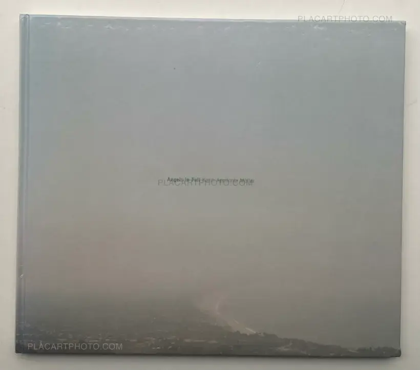 Karin Apollonia Müller – Angels in Fall