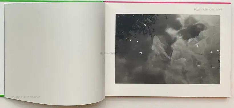 Lee Friedlander – Cherry Blossom Time in Japan