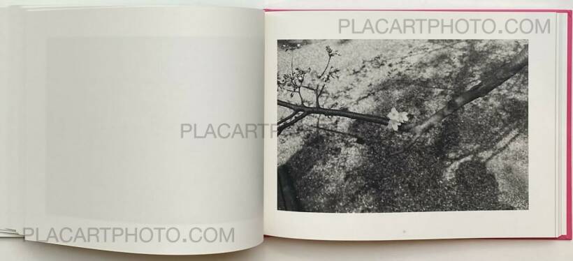 Lee Friedlander – Cherry Blossom Time in Japan