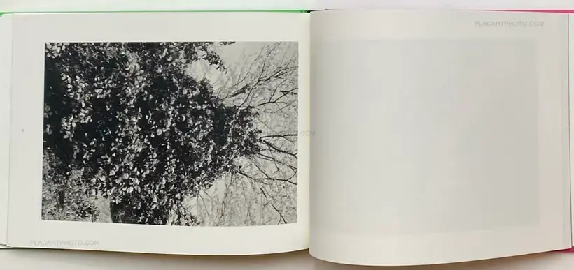 Lee Friedlander – Cherry Blossom Time in Japan