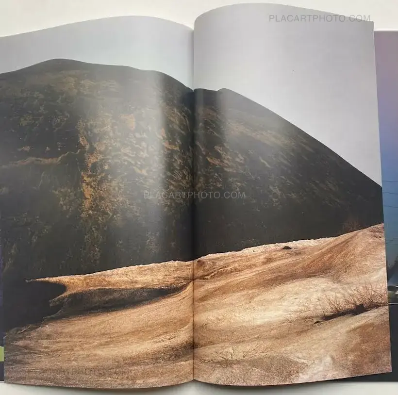 Pip Erken – Remnants of the recent past (Signed)