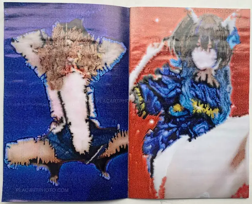 Sayo Senoo – bodies that shed tears 3 (Signed and numbered, edt of 100)