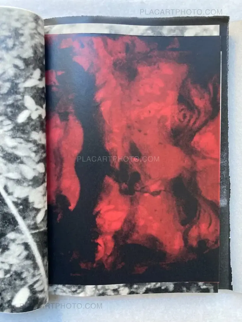 Lorenzo Castore – WALLS (SIGNED EDT OF 125)
