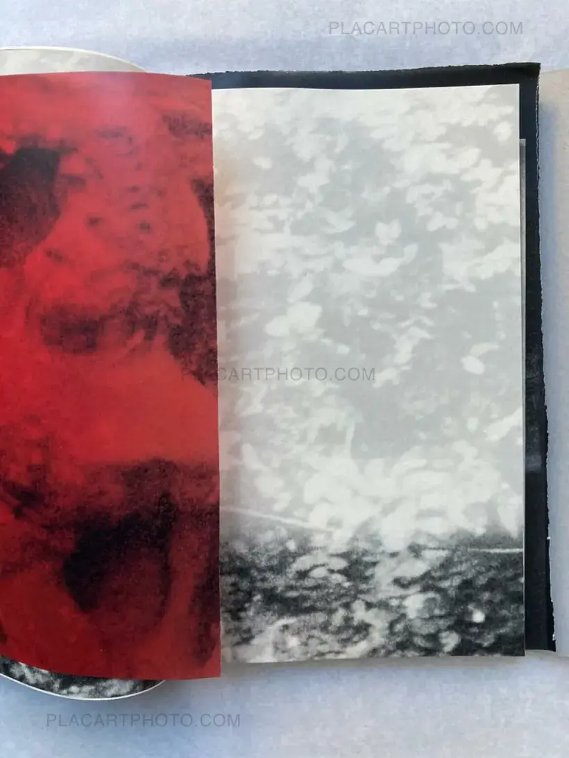 Lorenzo Castore – WALLS (SIGNED EDT OF 125)