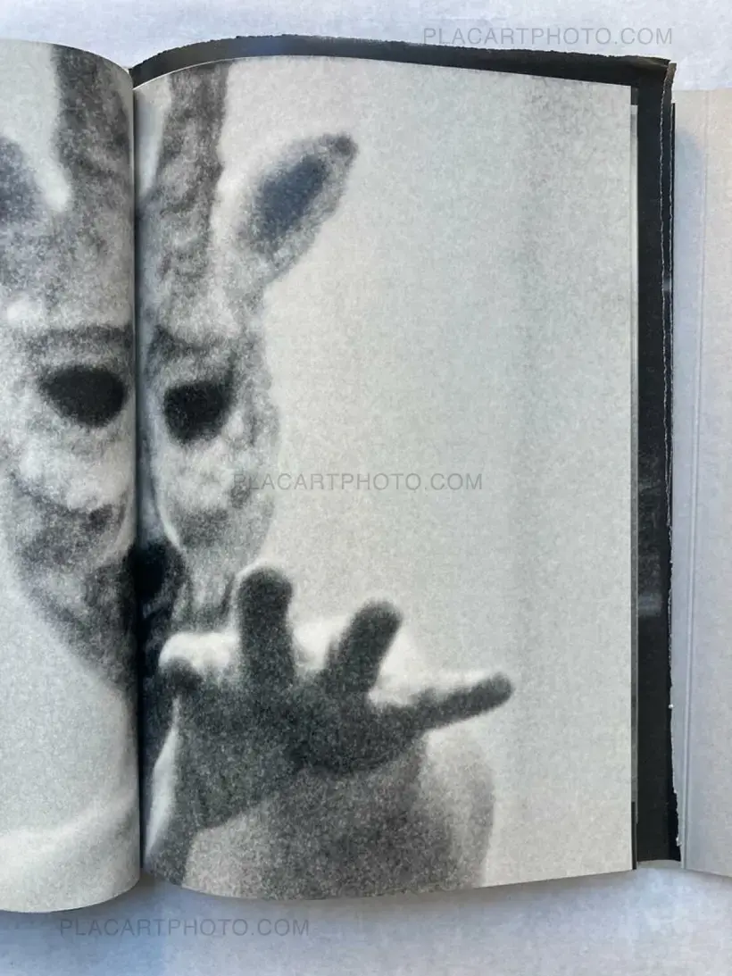 Lorenzo Castore – WALLS (SIGNED EDT OF 125)