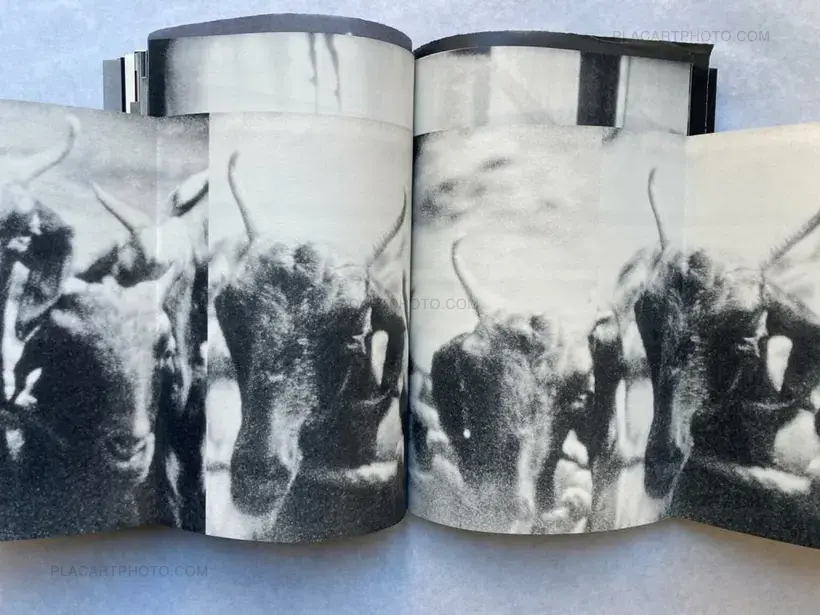 Lorenzo Castore – WALLS (SIGNED EDT OF 125)