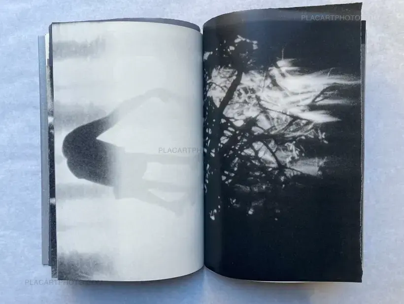 Lorenzo Castore – WALLS (SIGNED EDT OF 125)