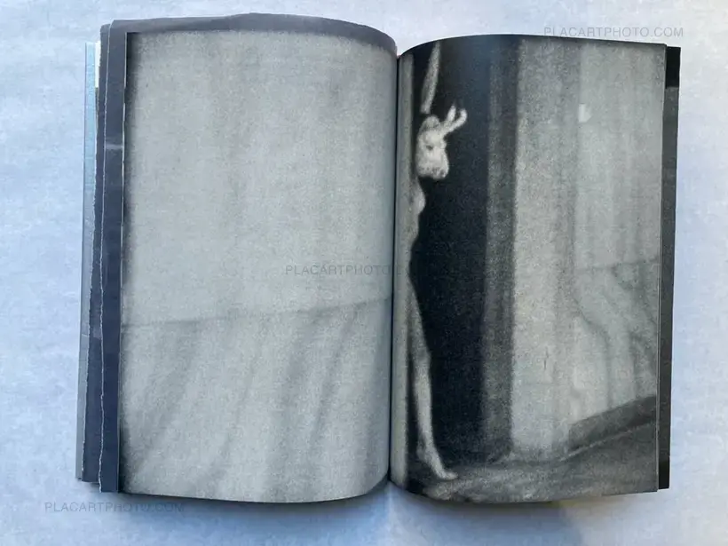 Lorenzo Castore – WALLS (SIGNED EDT OF 125)