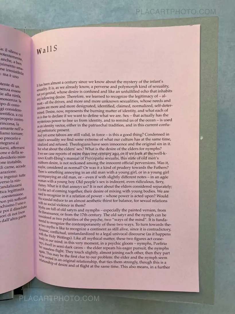 Lorenzo Castore – WALLS (DELUXE EDT OF 23 COPIES)