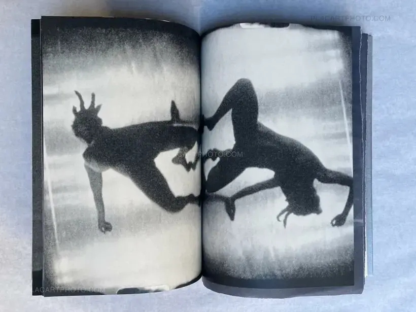Lorenzo Castore – WALLS (DELUXE EDT OF 23 COPIES)