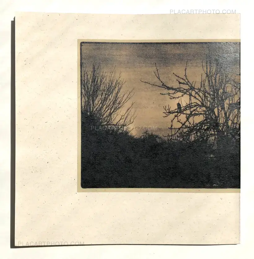 Bogdan Gulyay – Scratchy Days (SIGNED)
