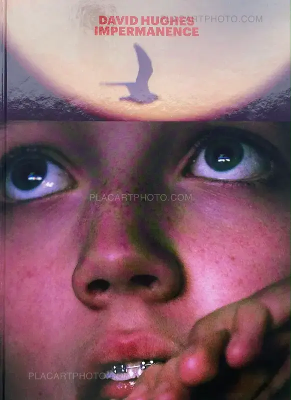 Patrick Remy Book David Hughes, Impermanence, Patrick Remy, 2024 | Le Plac'Art Photo