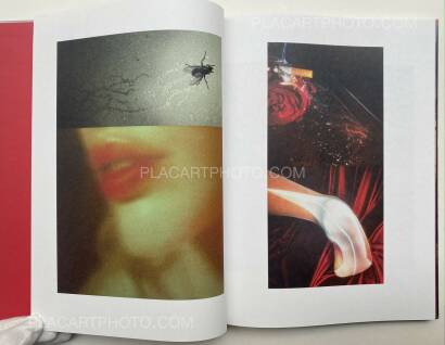 David Hughes,Impermanence David Hughes,Impermanence