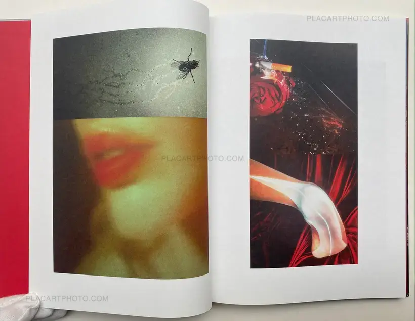 David Hughes – Impermanence